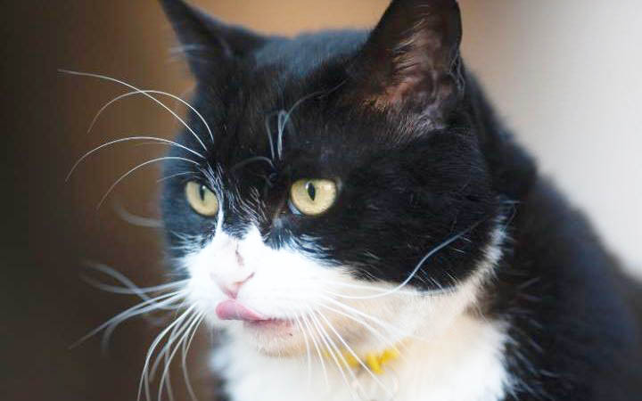 hpr-large_trans++F9BD_fYQB0teZOF4IslN2fkvqlFacr6Q-2yal2tHM6w