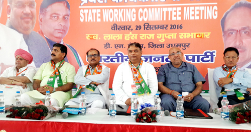 BJP leaders during a working committee meeting of the party at Udhampur on Thursday. BJP leaders during a working committee meeting of the party at Udhampur on Thursday.