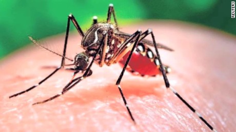 WHO sees further rise of Zika cases in Asia-Pacific region WHO sees further rise of Zika cases in Asia-Pacific region