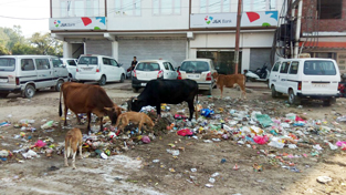 Garbage dump at a centrally located place in Udhampur town. Garbage dump at a centrally located place in Udhampur town.
