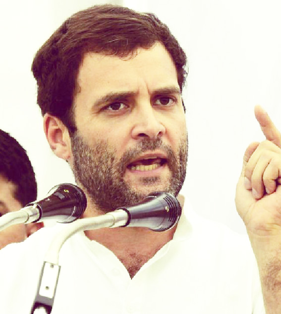 Rahul 'pained' by projects 'snatched' from Raebareli, Amethi Rahul 'pained' by projects 'snatched' from Raebareli, Amethi