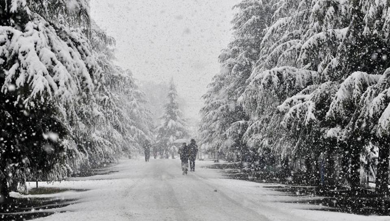 Snow disrupts air traffic from Srinagar