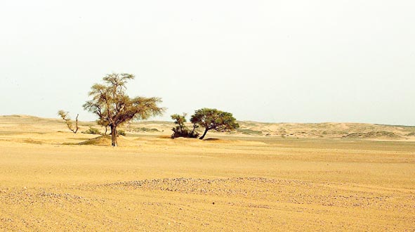 Human activities created