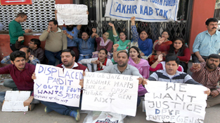 Activists of Displaced Pandit Youth Forum protesting in front of Press Club on Sunday. Activists of Displaced Pandit Youth Forum protesting in front of Press Club on Sunday.