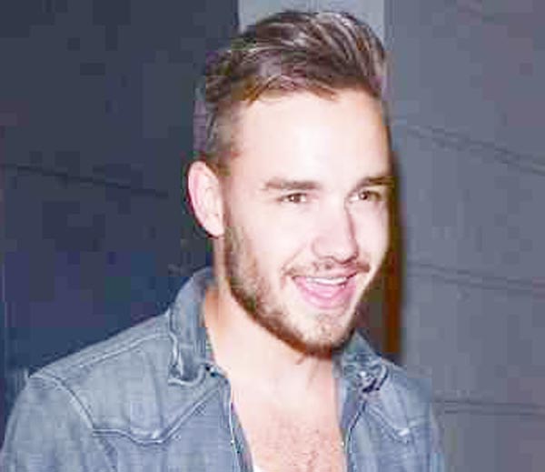 Liam Payne not interested in marriage