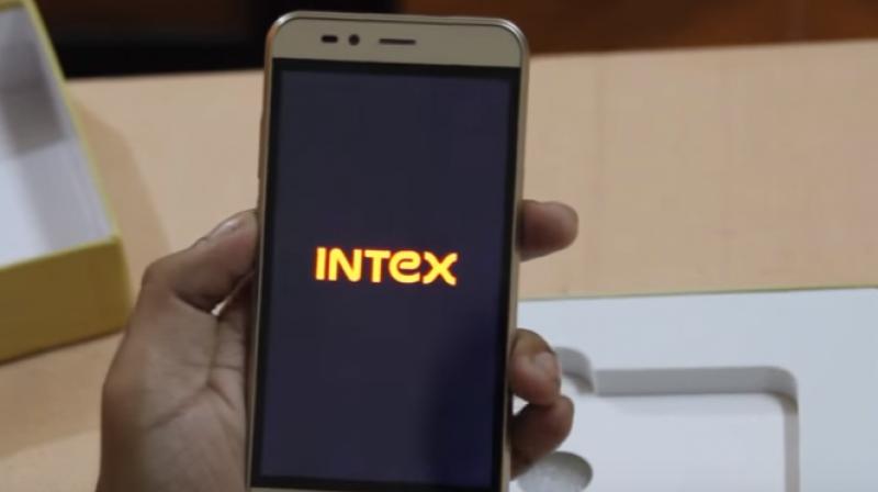 intex