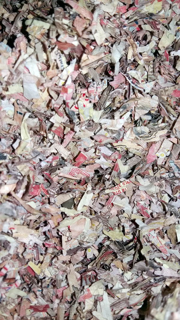 Notes of old currency, torn into pieces, found on NH at Dayala Chak on Thursday. -Excelsior/Pardeep Notes of old currency, torn into pieces, found on NH at Dayala Chak on Thursday. -Excelsior/Pardeep