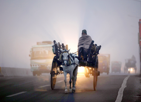 Braving thick fog and harsh cold, a horse-cart driver moves on a road in Jammu on Friday morning. -Excelsior/Rakesh Braving thick fog and harsh cold, a horse-cart driver moves on a road in Jammu on Friday morning. -Excelsior/Rakesh