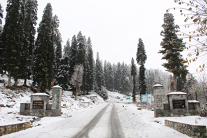 A view of snow covered Mughal road. -Excelsior/ Younis Khaliq A view of snow covered Mughal road. -Excelsior/ Younis Khaliq
