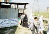 A Government School in Bemina which functions in a makeshift shed. -Excelsior/Shakeel