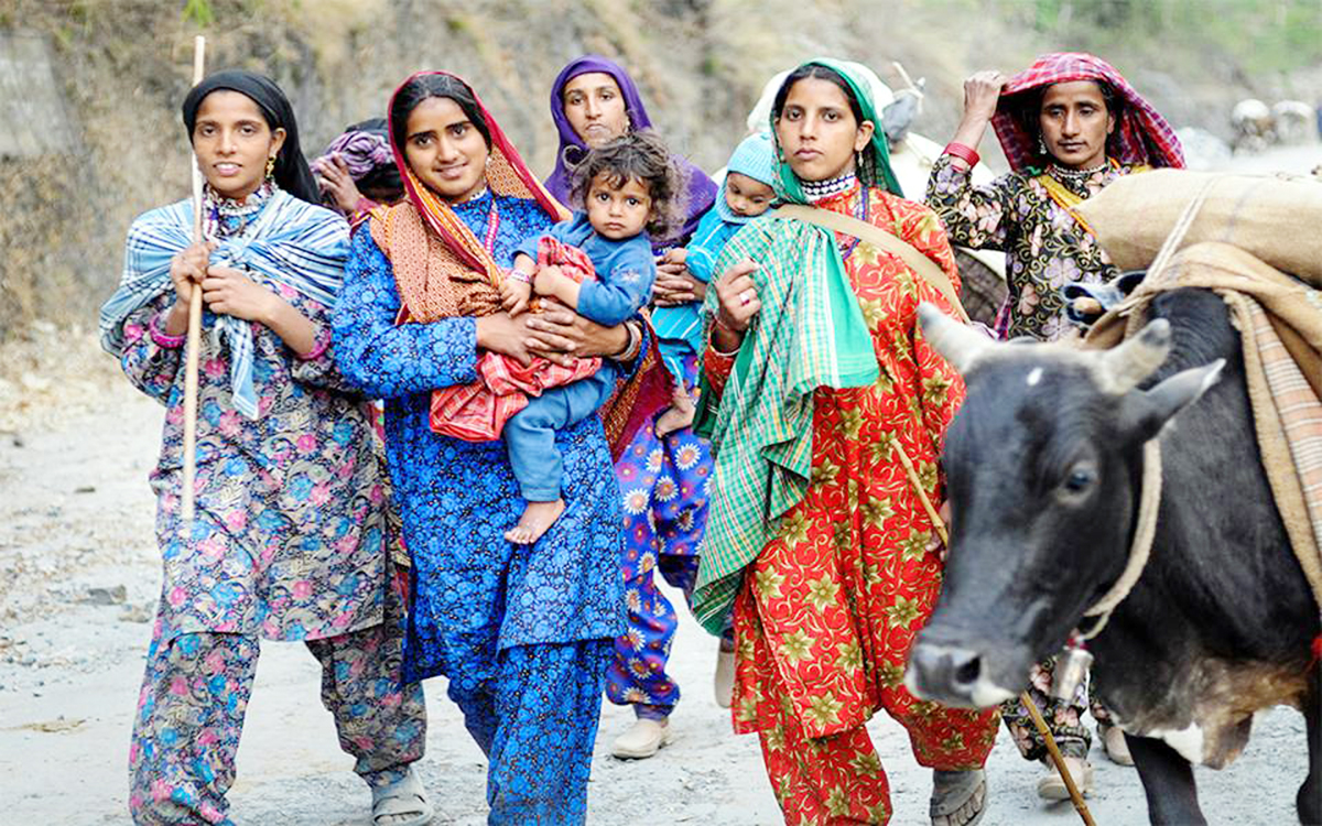 Gujjar women under migration to plains as higher reaches experiencing snowfall. Gujjar women under migration to plains as higher reaches experiencing snowfall.