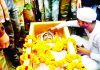 Last rituals being performed by next of kin of Rifleman Varun Kattal at his home town Mawa-Rajpura village on Sunday.