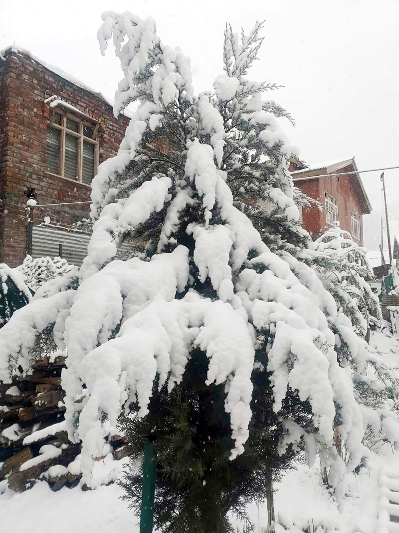 A view of snowfall in Gurez on Monday. -Excelsior/Aabid Nabi A view of snowfall in Gurez on Monday. -Excelsior/Aabid Nabi