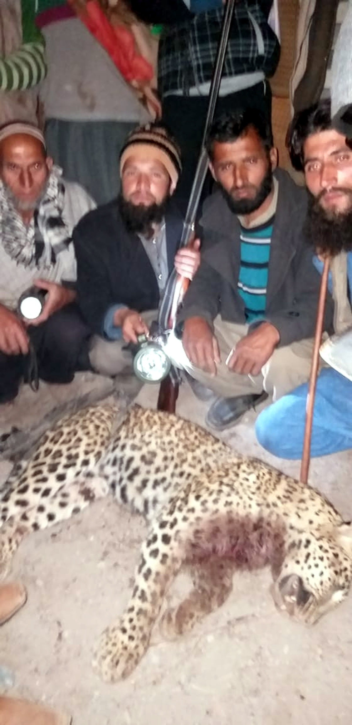 Man-eater leopard which was killed in Mahore on Sunday. Man-eater leopard which was killed in Mahore on Sunday.
