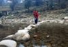 A villager passing through river in the absence of bridge near Darana village in Mendhar. —Excelsior/Rahi Kapoor