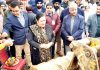 Principal GMC Jammu, Dr Sunanda Raina and other doctors during start of construction work of Bone & Joint Hospital within the premises of CD & TB Hospital, Jammu.