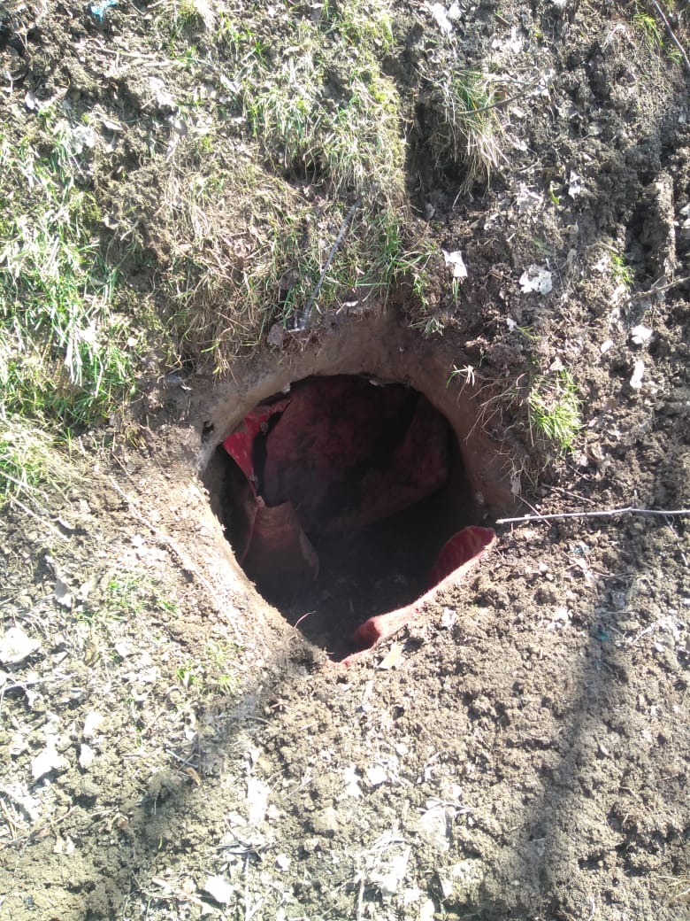 WhatsApp Image 2019-03-06 at 3.03.55 PM