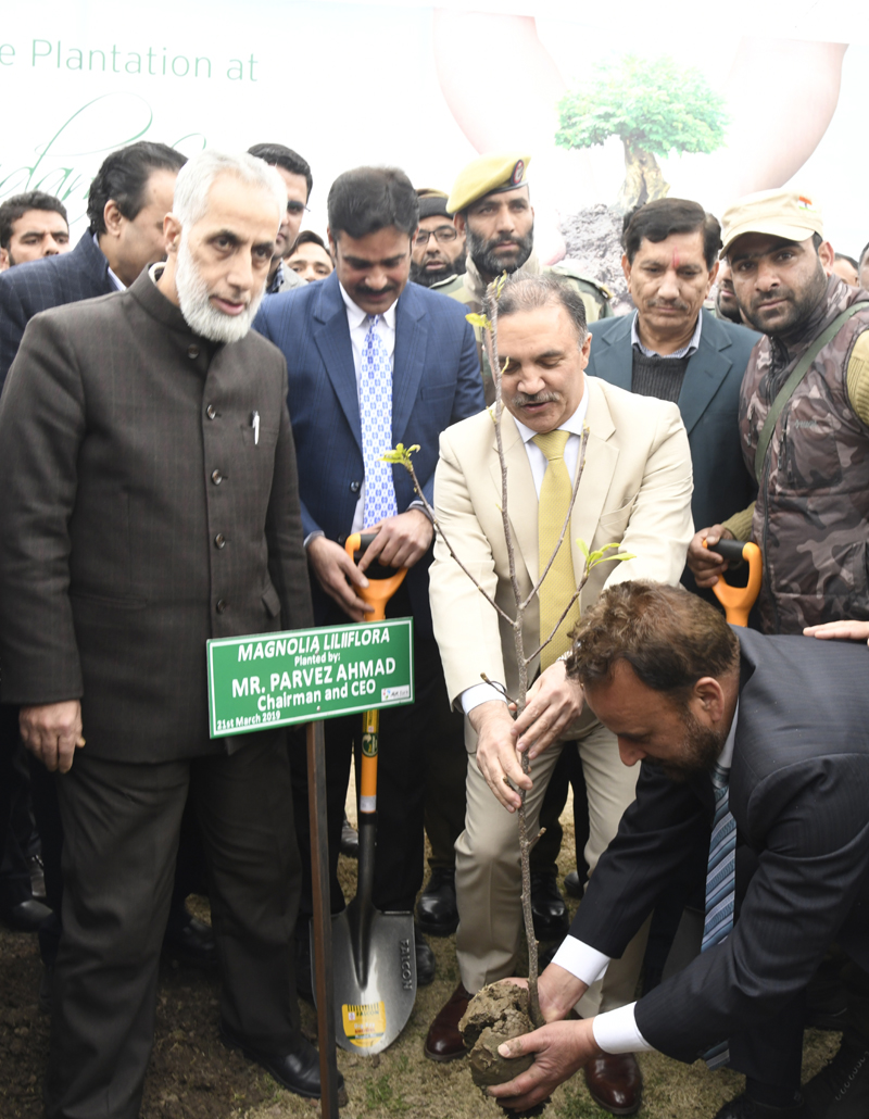 Chairman J&K Bank Parvez Ahmed planting a sapling to celebrate World Arbour Day. Chairman J&K Bank Parvez Ahmed planting a sapling to celebrate World Arbour Day.