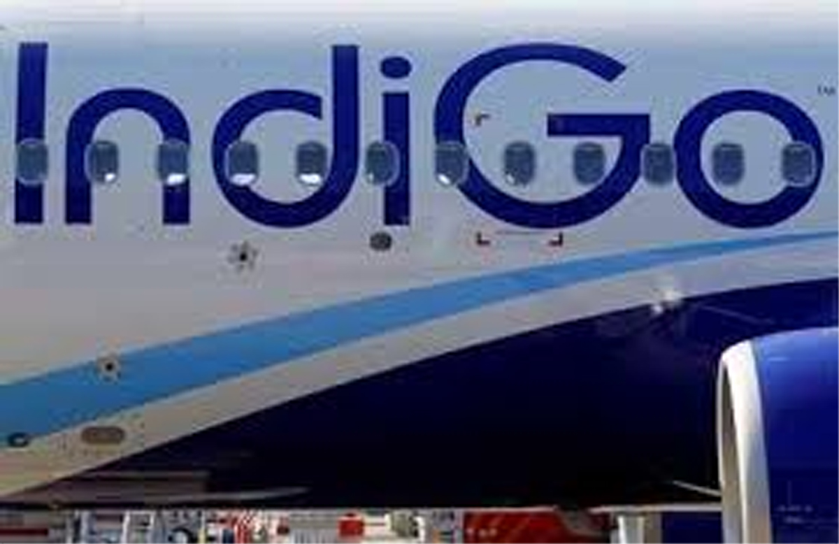 indogo