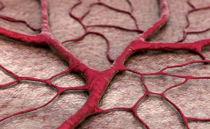 3d printed vascular networks pave way
