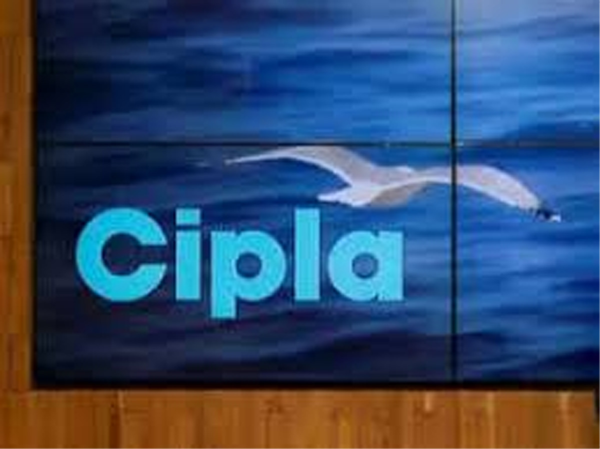cipla-shares-rise-nearly-2-pc-jammu-kashmir-latest-news-tourism-breaking-news-j-k
