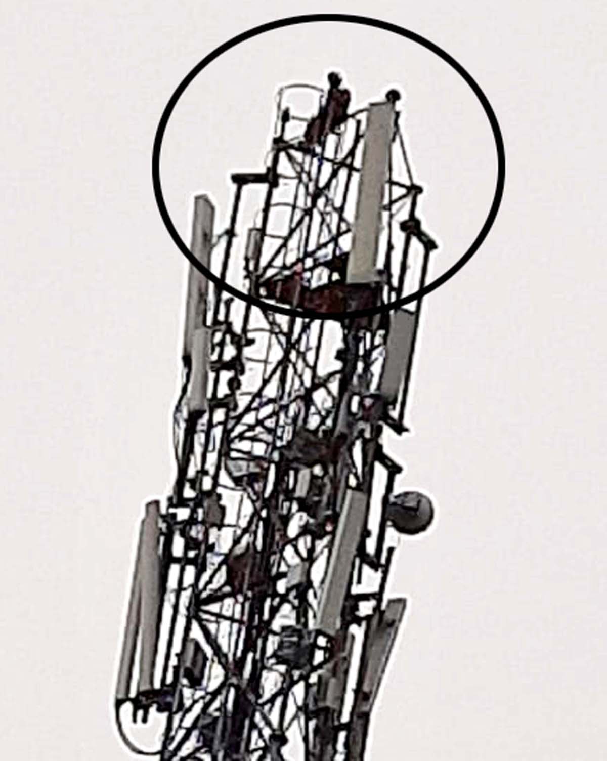 Youth climbing cell phone tower at Thannamandi in Rajouri. -Excelsior/Bhat Youth climbing cell phone tower at Thannamandi in Rajouri. -Excelsior/Bhat