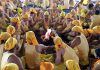 Brahman youth after ‘Yagopavit’ ceremony performing Havan to mark Parshuram Jayanti in Jammu on Tuesday. —Excelsior/Rakesh