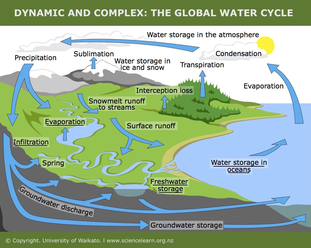 New Diagrams Explain How Humans Affect Water Cycle