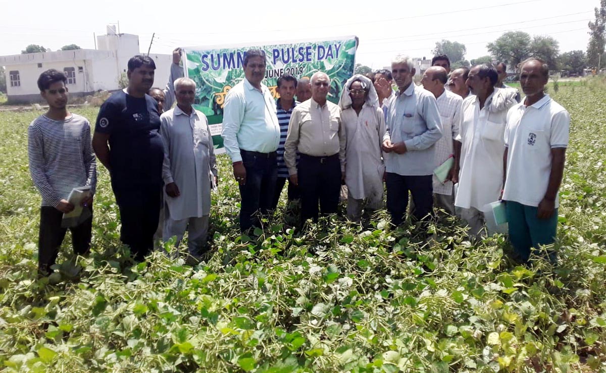 SKUAST-Jammu scientists with farmers during Summer Pulse Day programme. SKUAST-Jammu scientists with farmers during Summer Pulse Day programme.