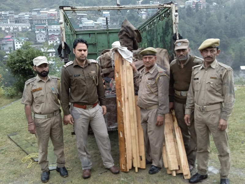 Forest Department officials showing seized timber. Forest Department officials showing seized timber.