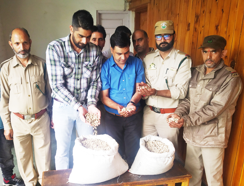 Wild Garlic seized by Forest officials at Bhaderwah on Thursday. —Excelsior/Tilak