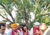 Devotees offering prayers at Shani Dev Temple at Gandhi Nagar on Saturday.
