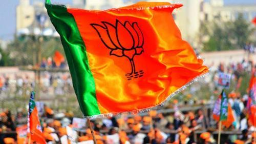 BJP Flags