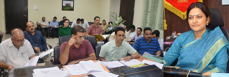 page9-5 DDC Sushma Chauhan chairing a meeting on Thursday.