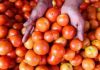 Centre Plans Tomato Procurement From Key Growing States As Prices Skyrocket