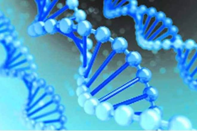 Asia has at least ten ancestral lineages