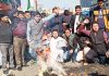 PYC activists staging protest against BJP MP Pragya Thakur in Jammu on Saturday. -Excelsior/Rakesh