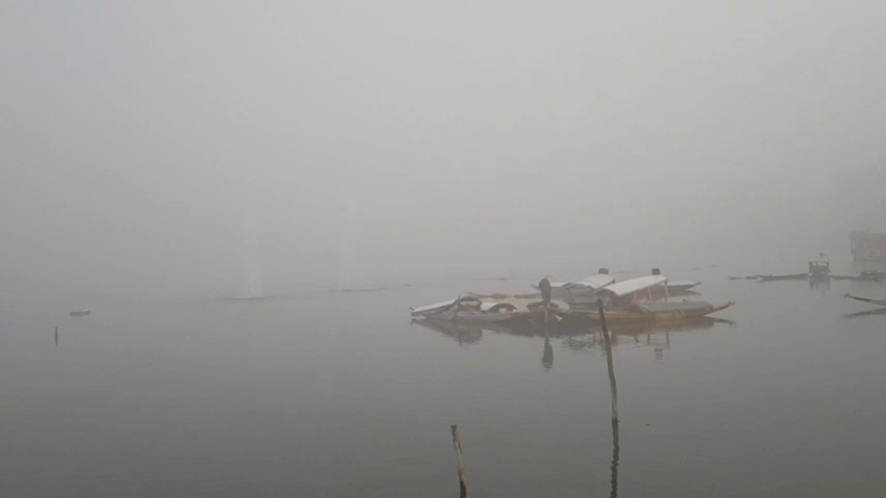 vlcsnap-2019-12-09-17h07m43s295