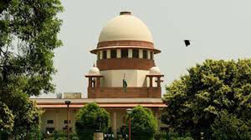 SC to hear Sara's plea today