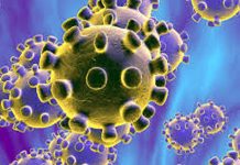 70 Kashmiris with travel history of Iran being quarantined