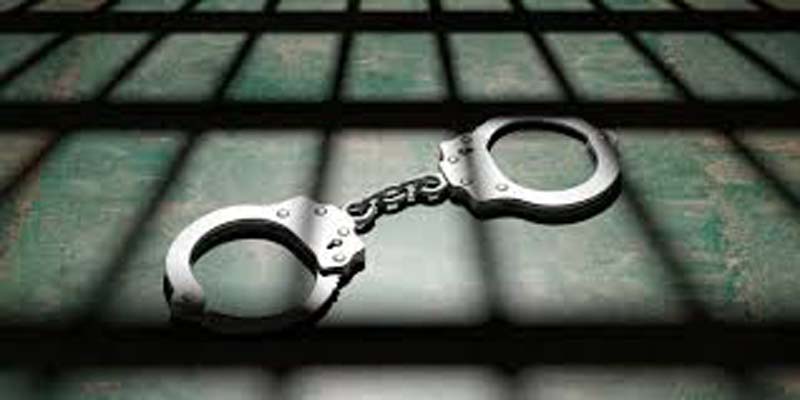 Hizbul Mujahideen activist held in Amritsar
