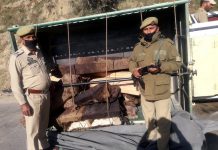 Illicit timber seized by police in Bhagwa area of District Doda. —Excelsior/Rafi Choudhary