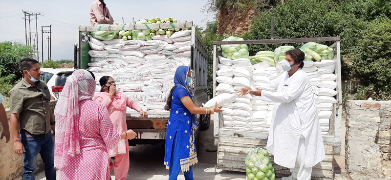 PCC leader Raman Bhalla distributing ration among needy in Gadigarh. PCC leader Raman Bhalla distributing ration among needy in Gadigarh.