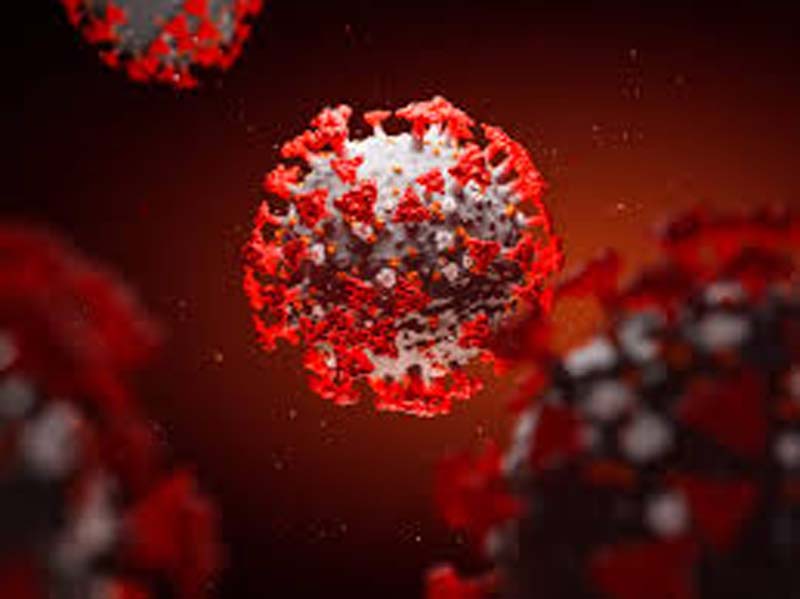 Tenure of GPCs extended