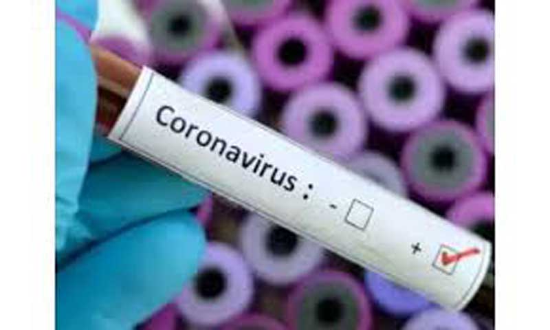 13 from Migrant Colony Jagti