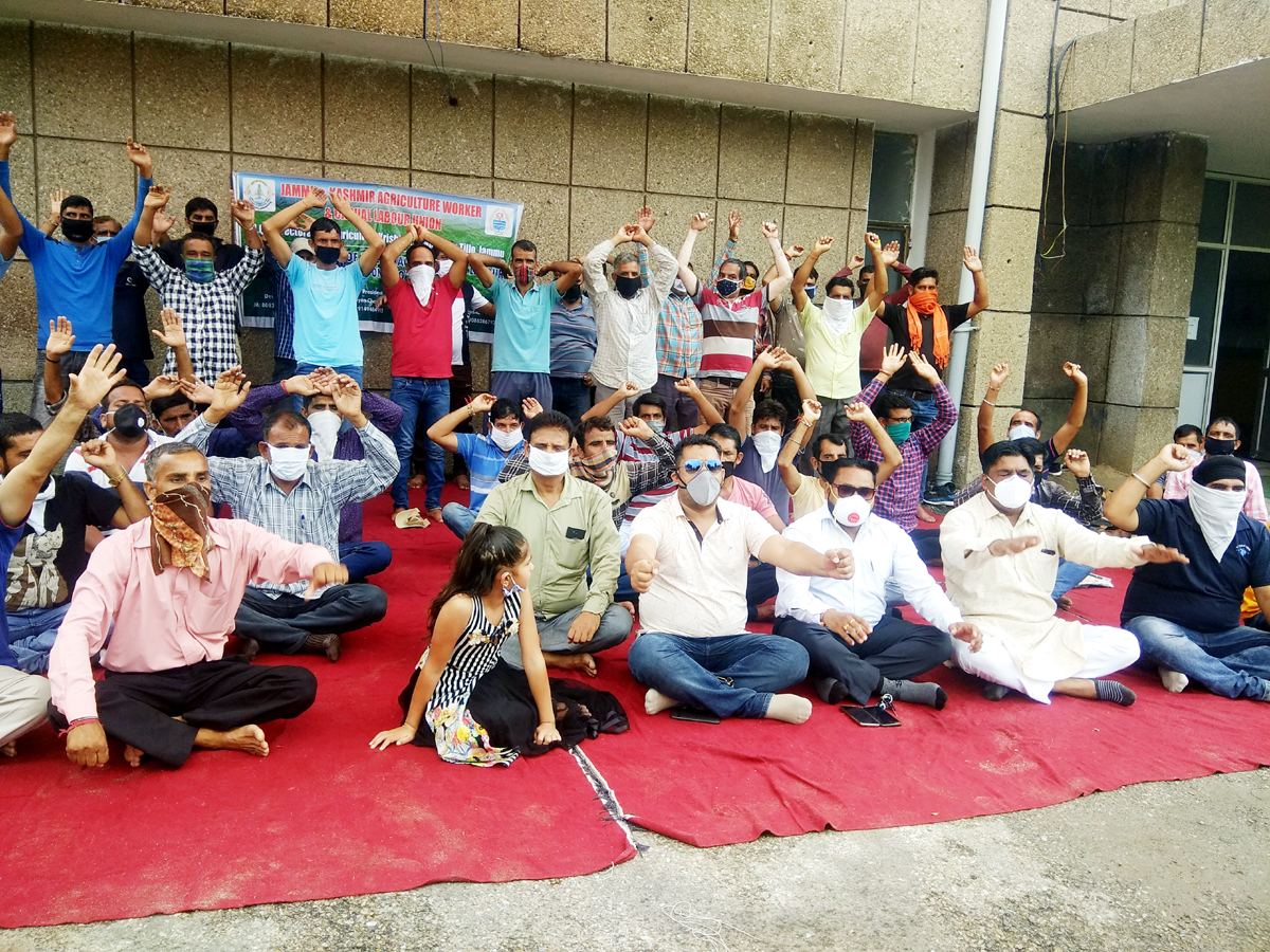 Casual labourers of Agriculture Department staging protest at Krishi Bhawan, Talab Tillo, Jammu. Casual labourers of Agriculture Department staging protest at Krishi Bhawan, Talab Tillo, Jammu.