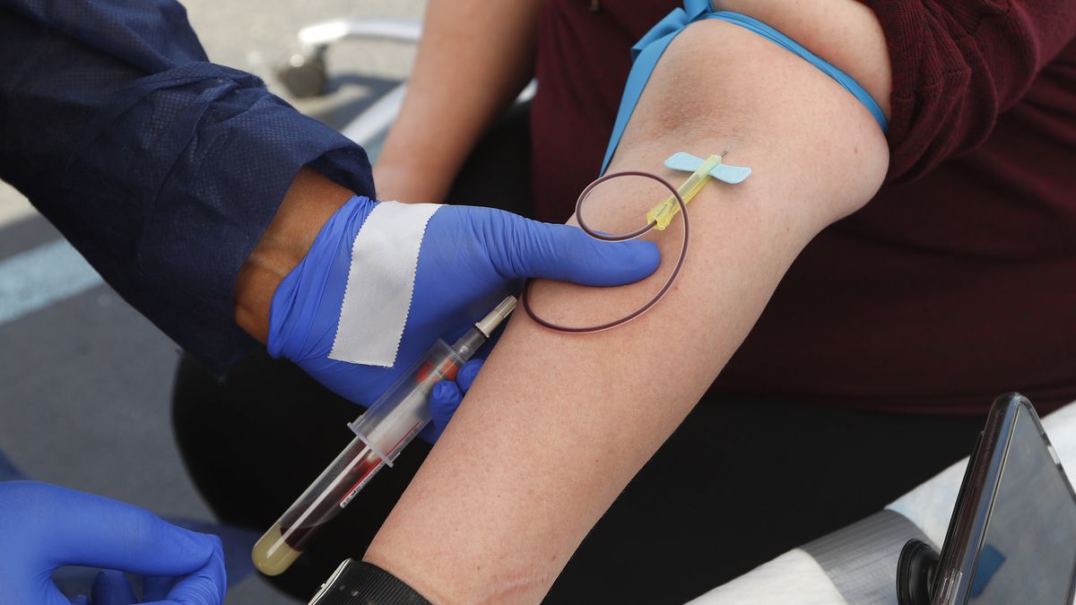 Large antiboyd study efforts