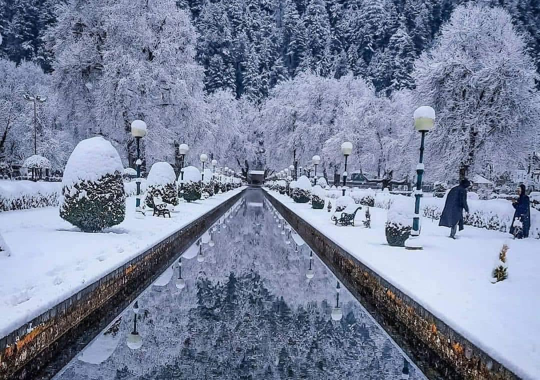 SRINAGAR SNOW