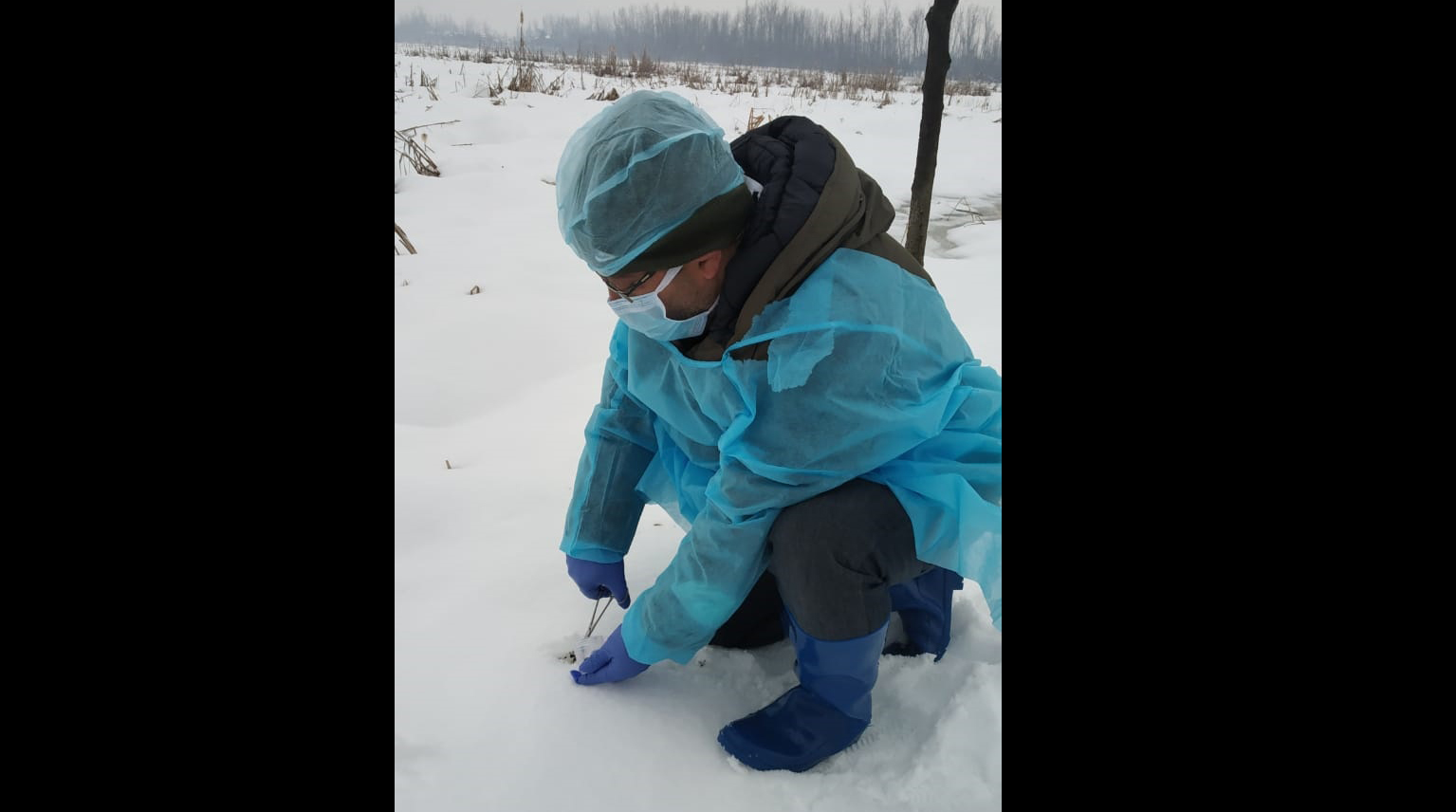 Survellaince Avian Influenza