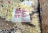 Year of crop visible on the lable of a rice bag at PEG Sangrama in North Kashmir’s Baramulla. -Excelsior/Aabid Nabi